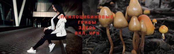 кокаин Дмитриев